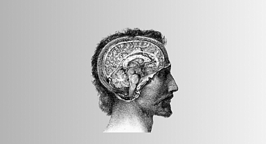 Beyin Hakkında Yanlış Bilinen Doğrular!